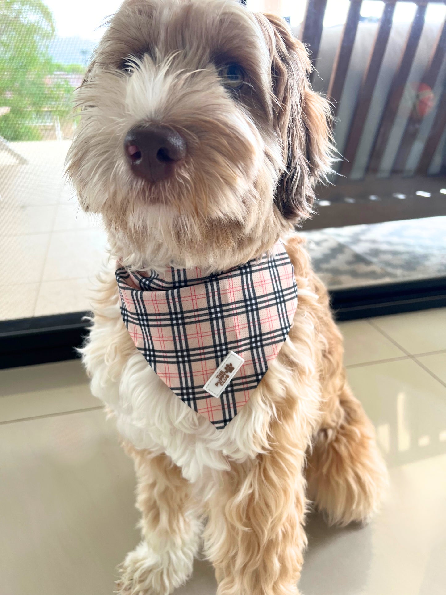 Complete Dog Accessory Collection - Vintage Plaid