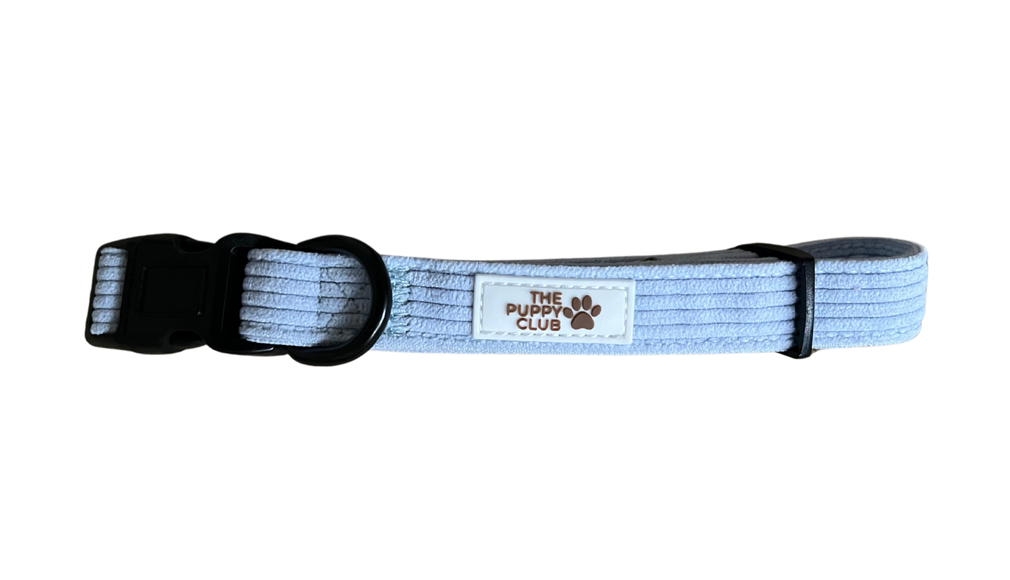 Collar and Leash Set - Corduroy Blue