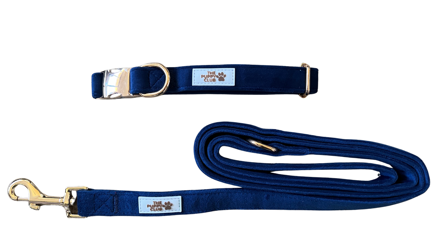 Luxury Collar and Leash Set - Velvet Blue