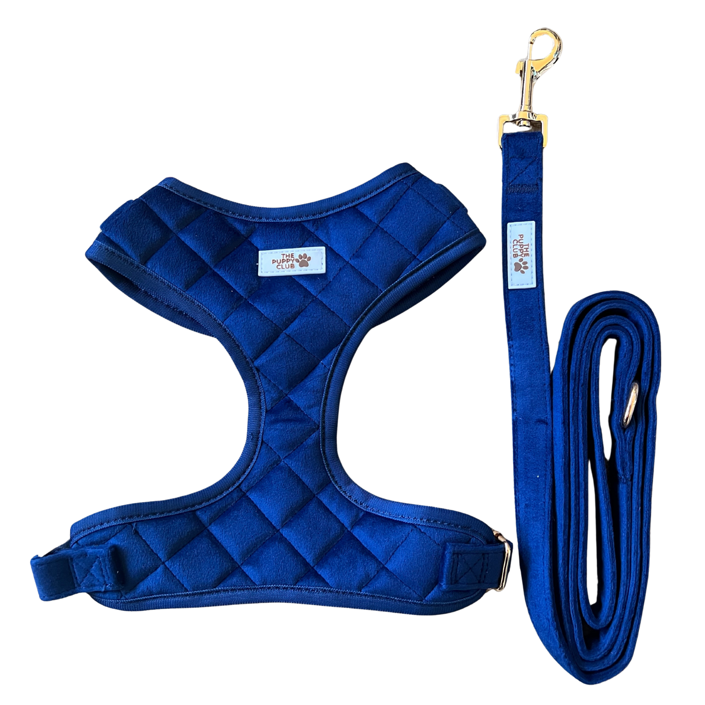 Luxury Harness and Leash Set - Velvet Blue