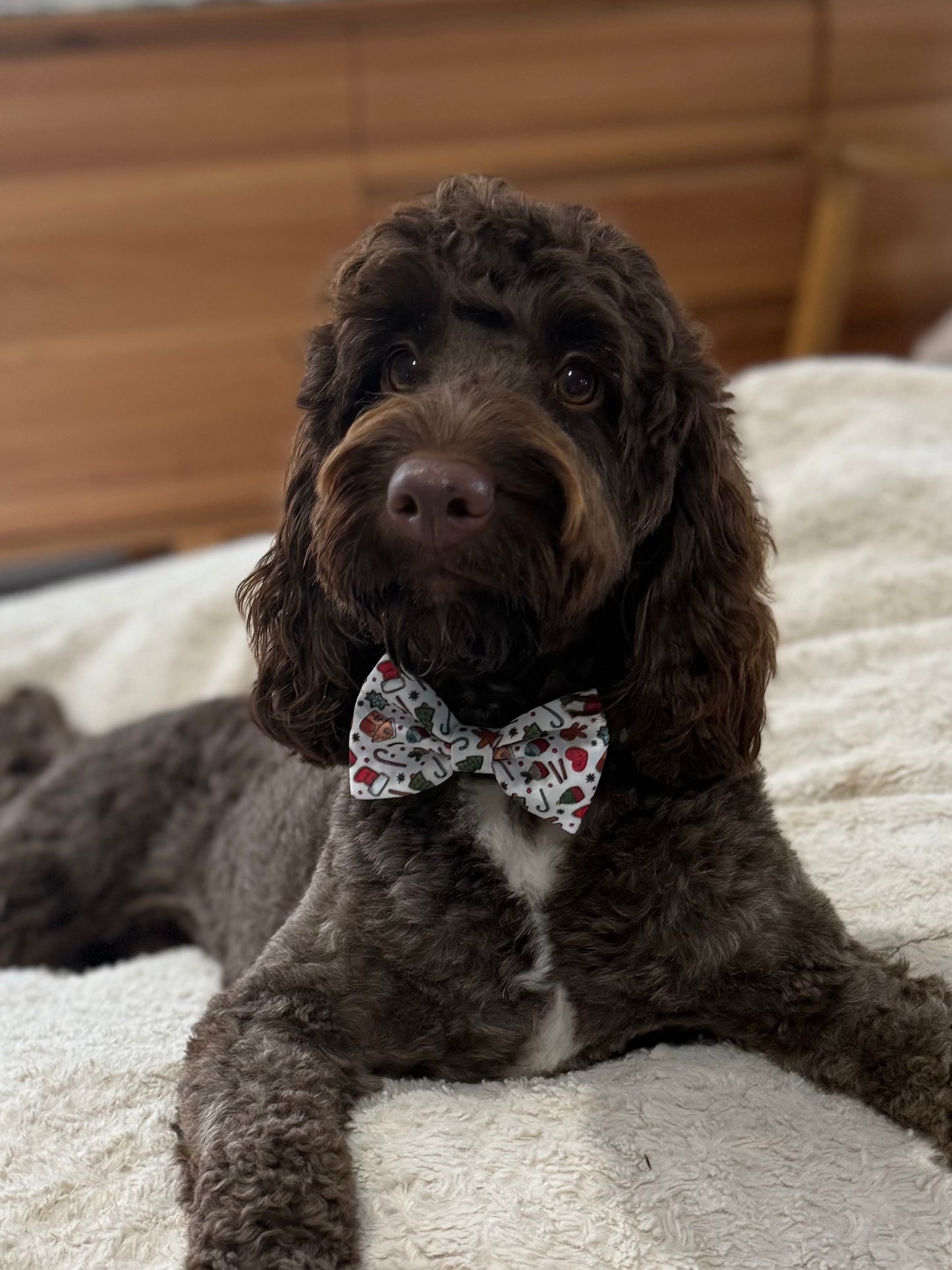 Christmas Bow - Festive Treats