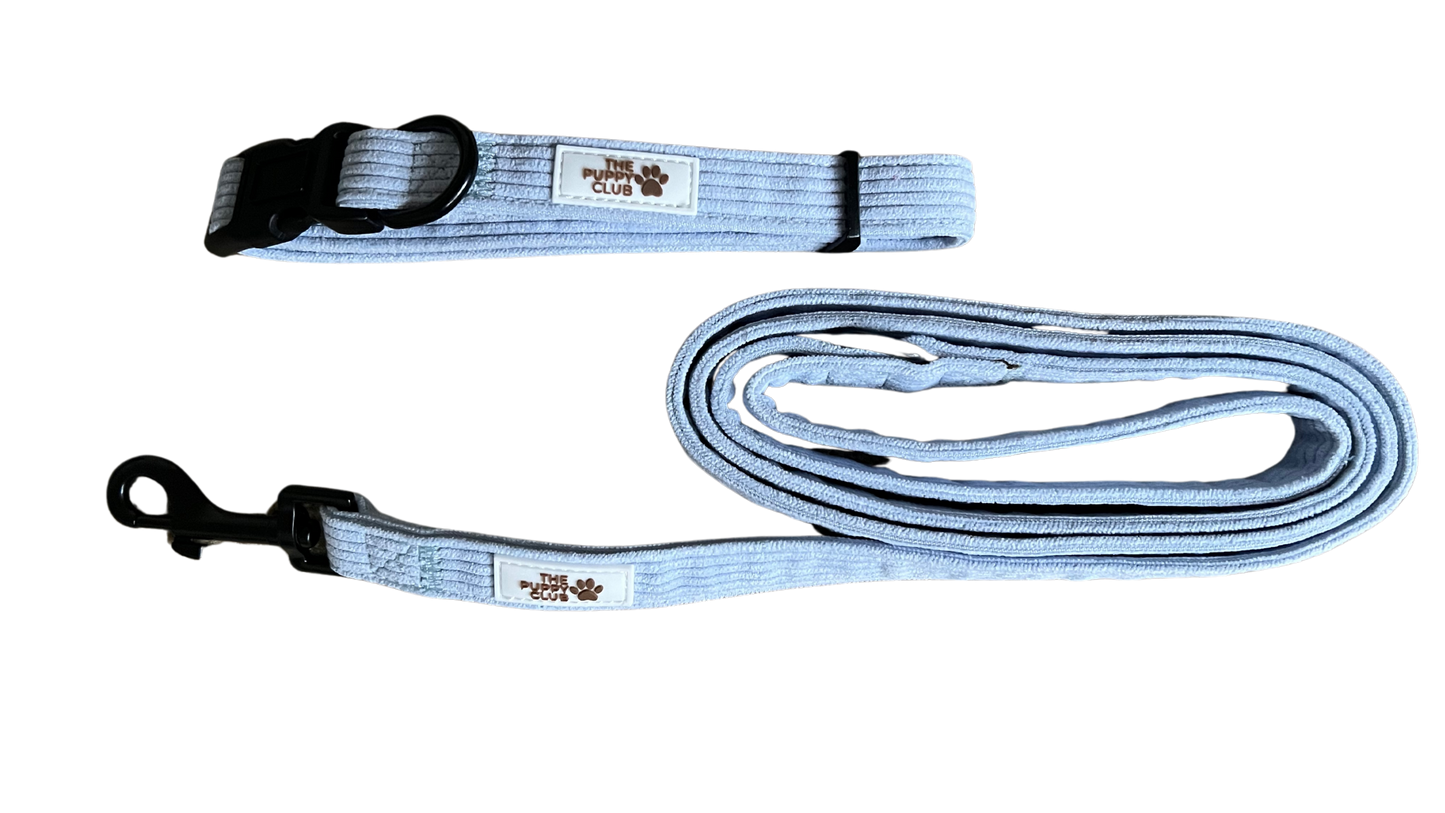 Collar and Leash Set - Corduroy Blue