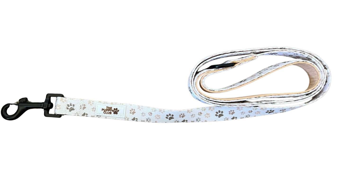 Collar and Leash Set - Paws