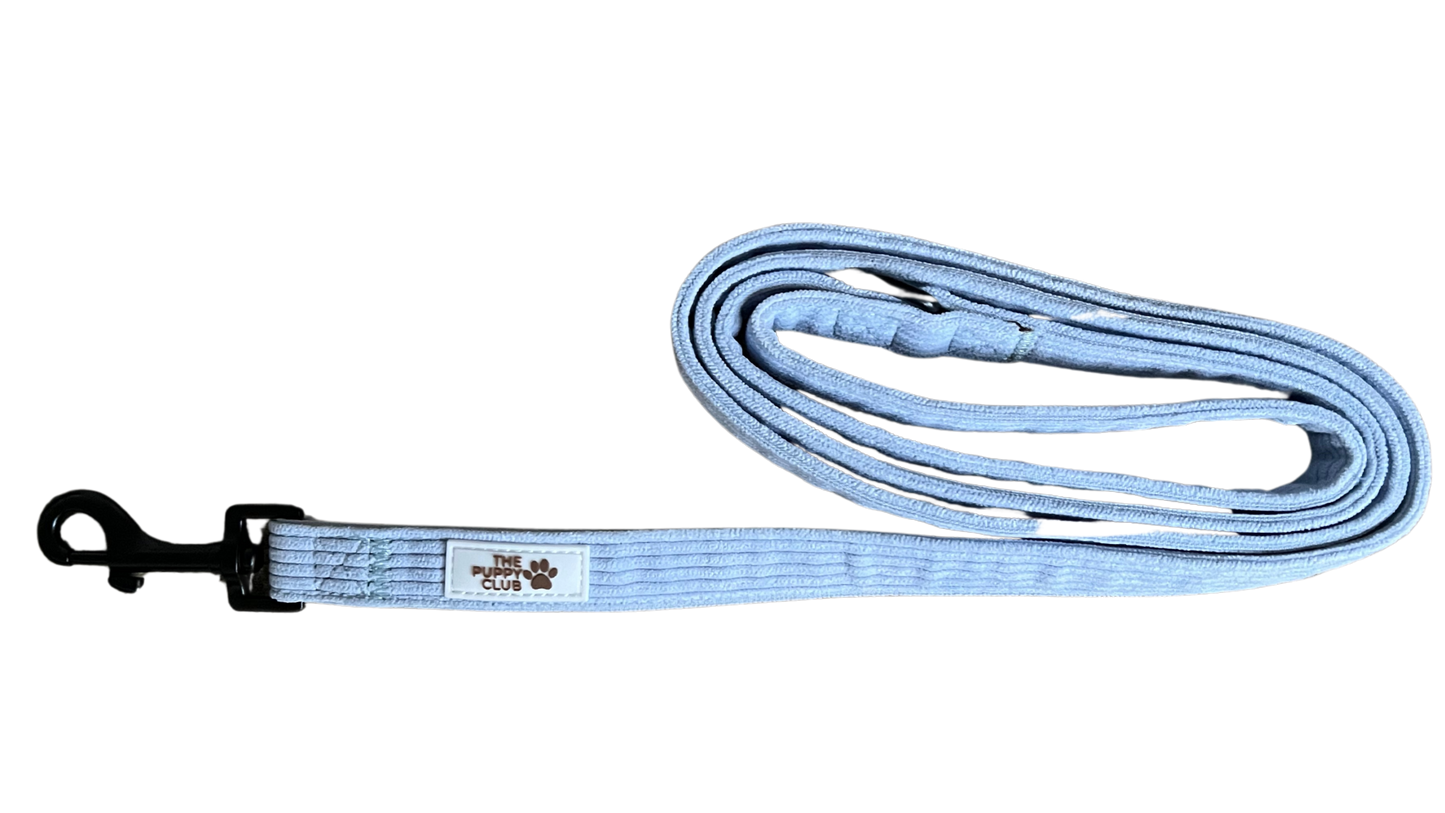 Harness and Leash Set - Corduroy Blue