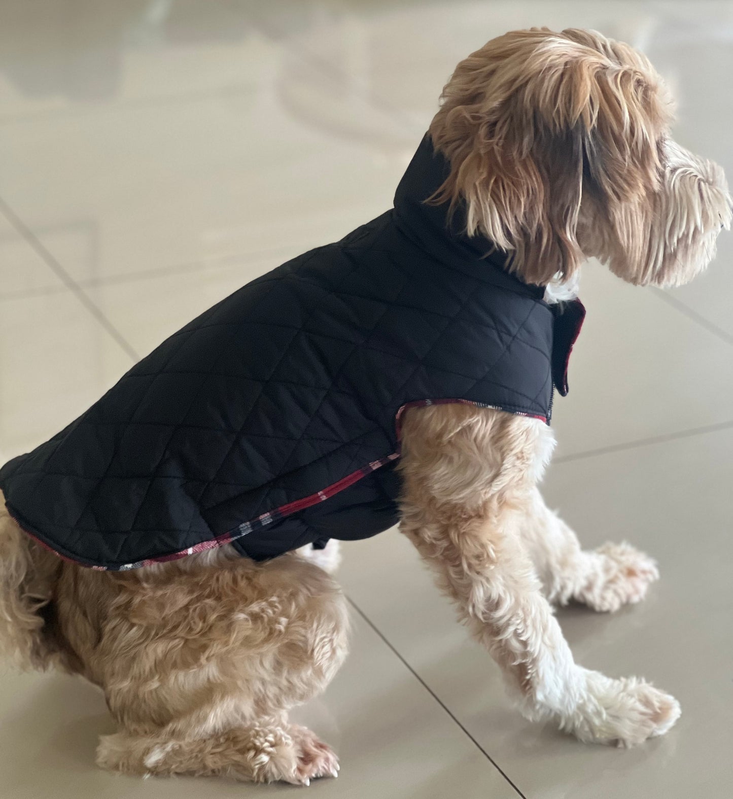 Reversible Dog Coat - Red/Black