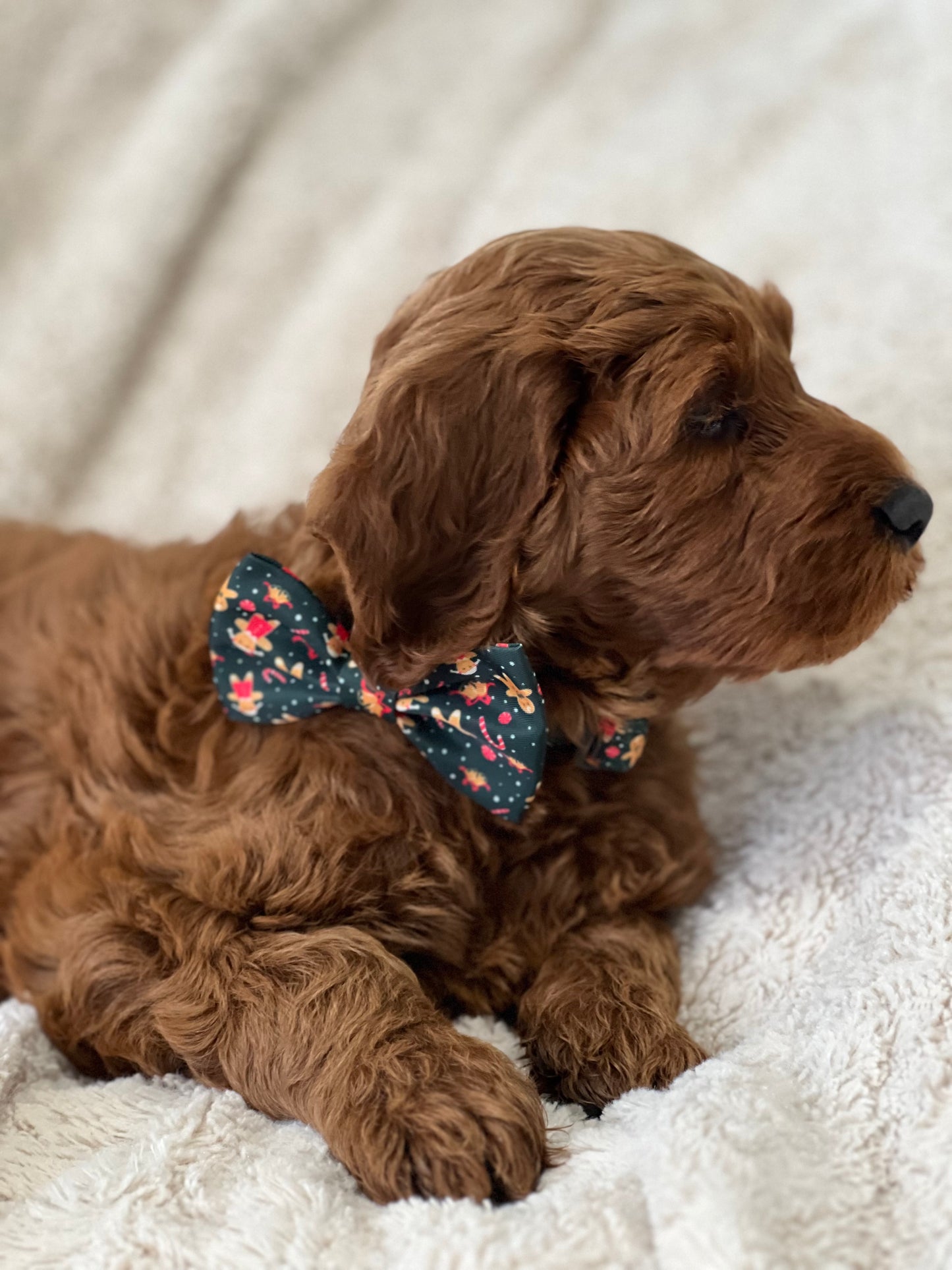 Christmas Collar - Gingerbread Wonderland