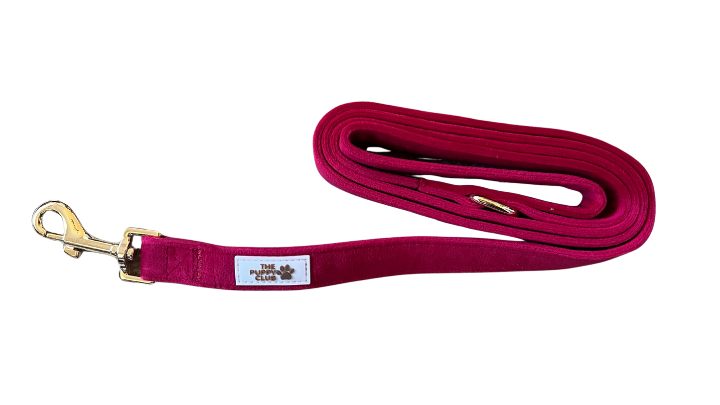 Luxury Dog Leash - Velvet Red