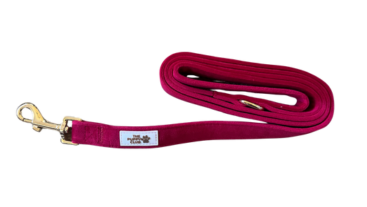 Luxury Dog Leash - Velvet Red
