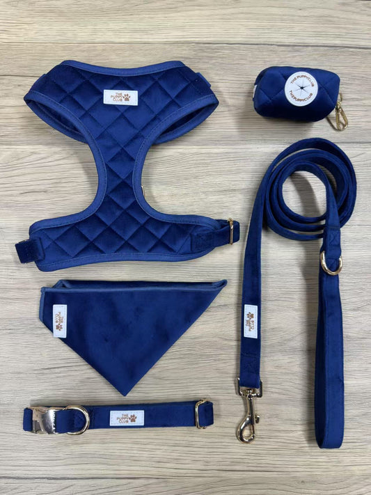 Luxury Dog Accessory Collection - Velvet Blue