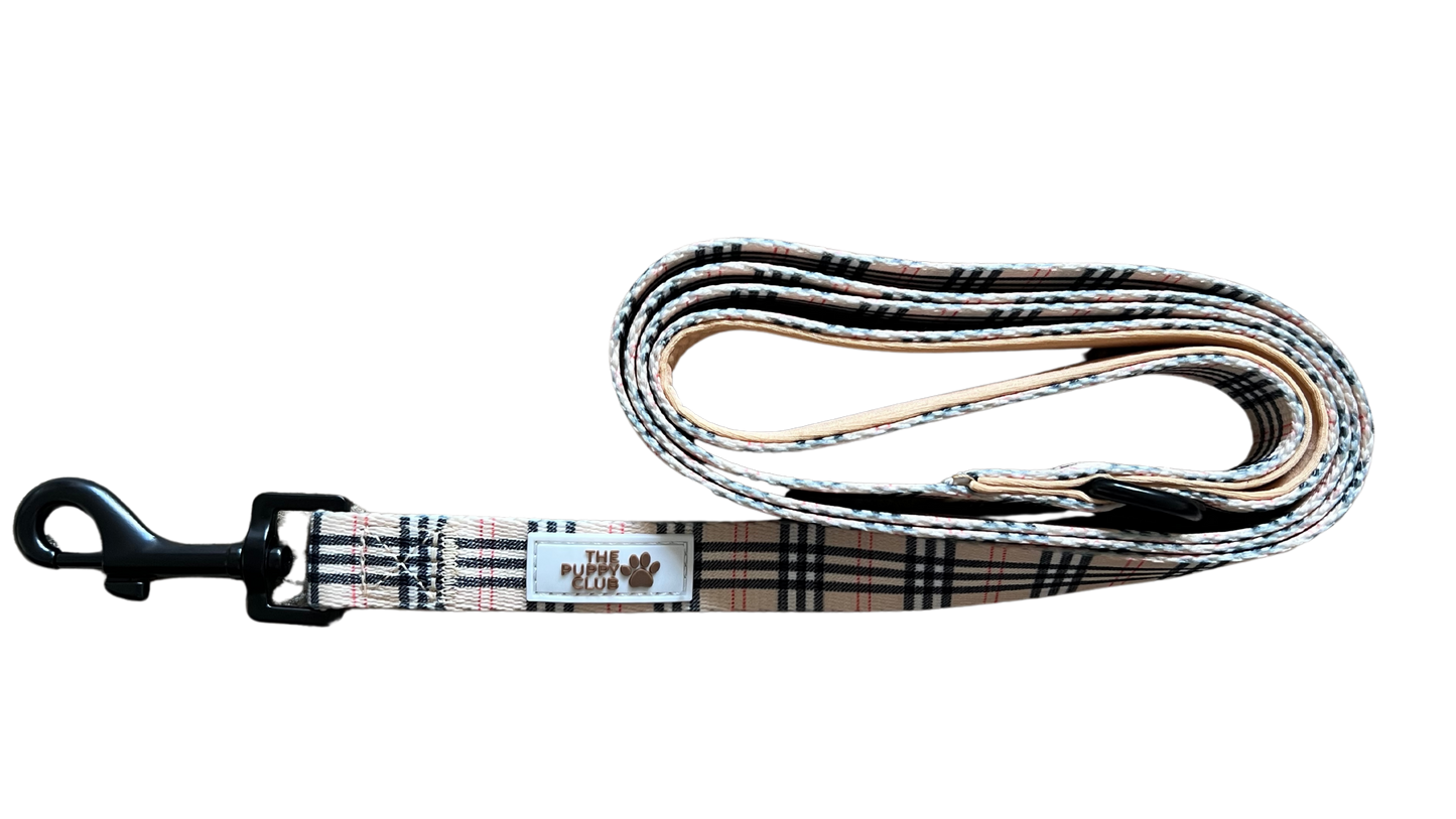 Collar and Leash Set - Vintage Plaid