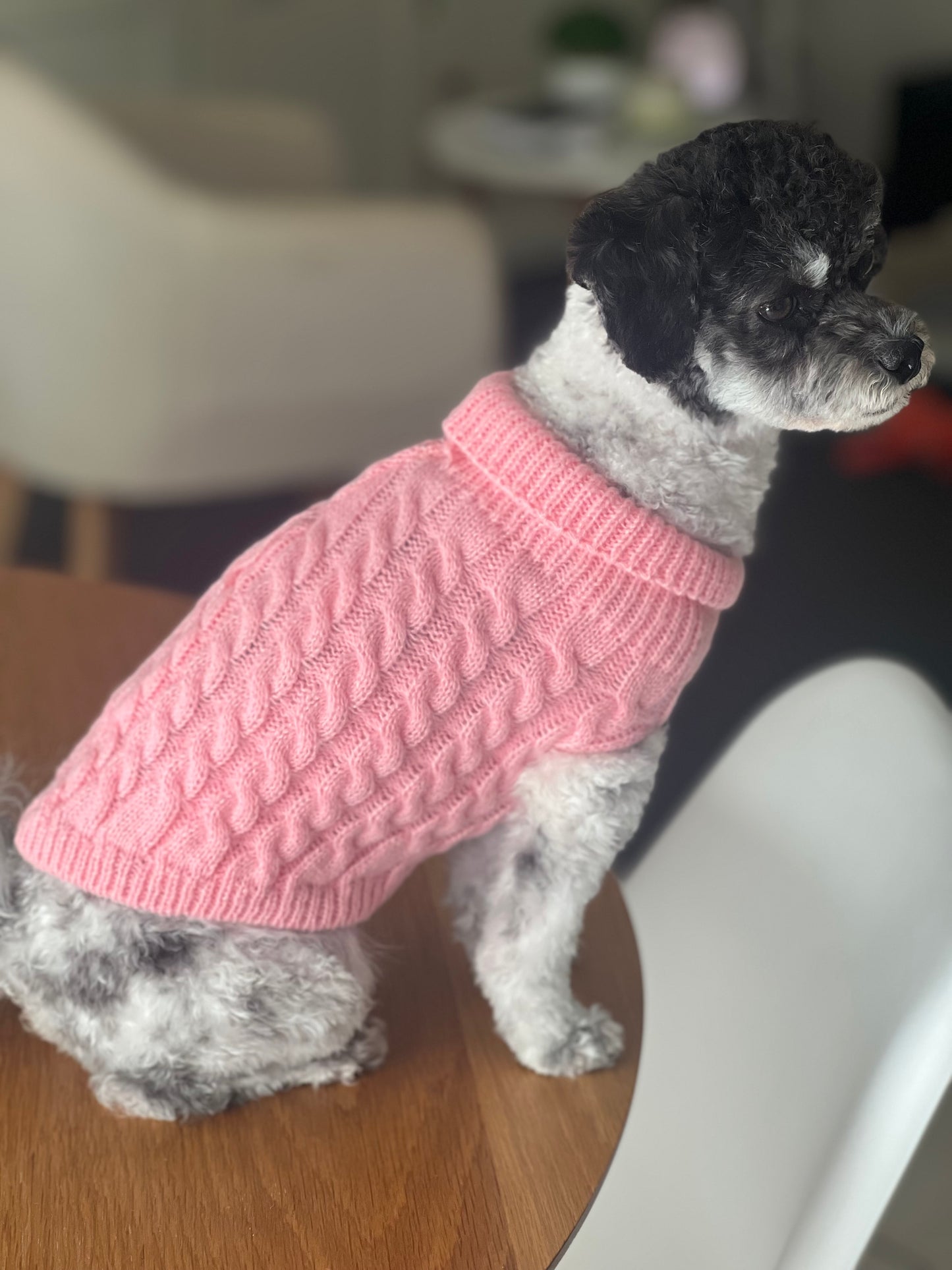 Dog Knit Jumper - Pink