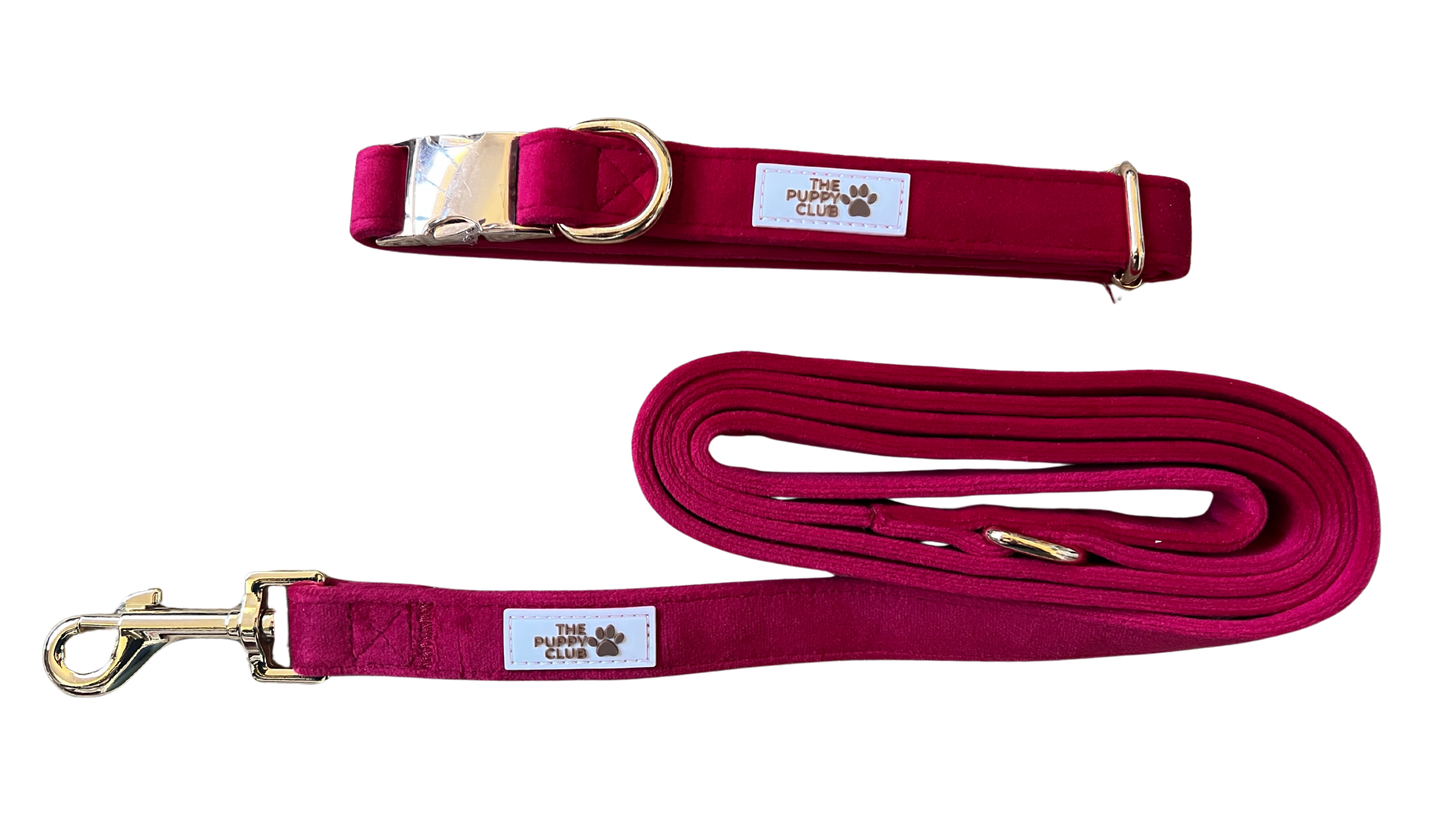 Luxury Collar and Leash Set - Velvet Red