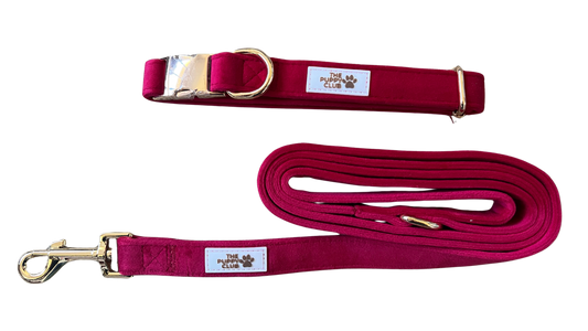 Luxury Collar and Leash Set - Velvet Red