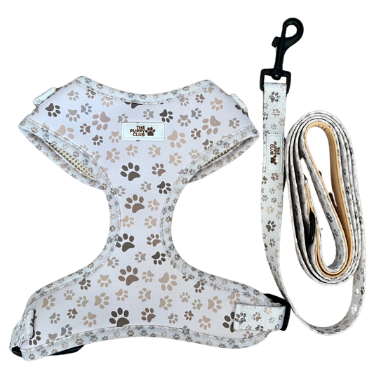 Harness and Leash Set - Paws