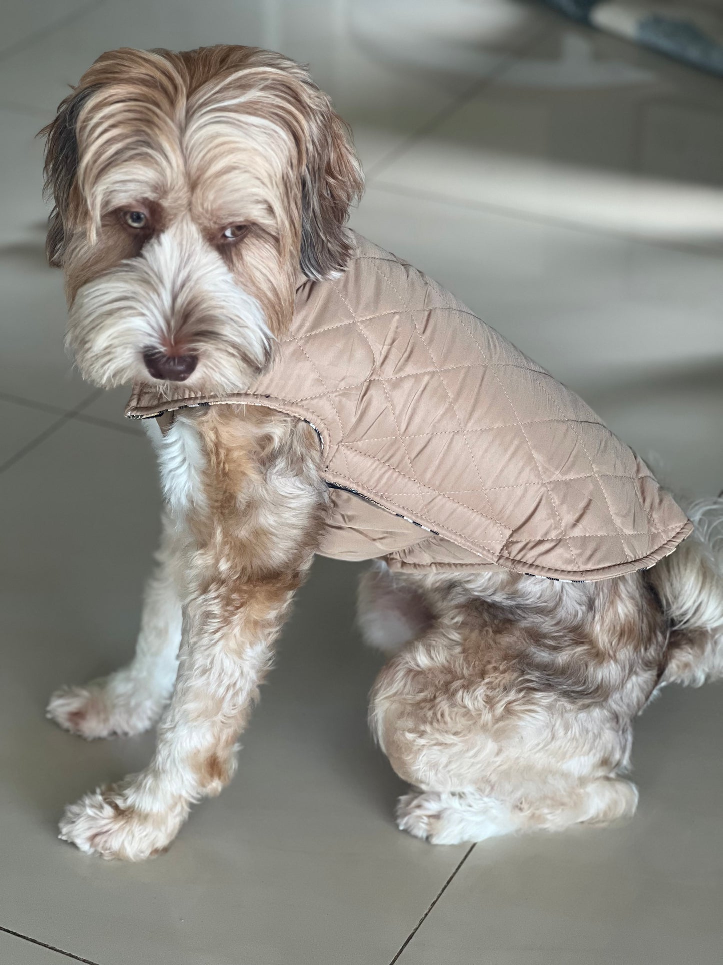 Reversible Dog Coat - Beige
