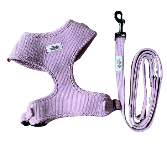 Harness and Leash Set - Corduroy Pink