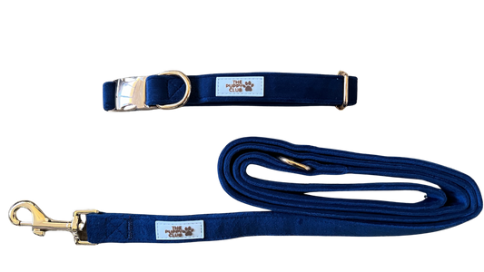 Luxury Collar and Leash Set - Velvet Blue