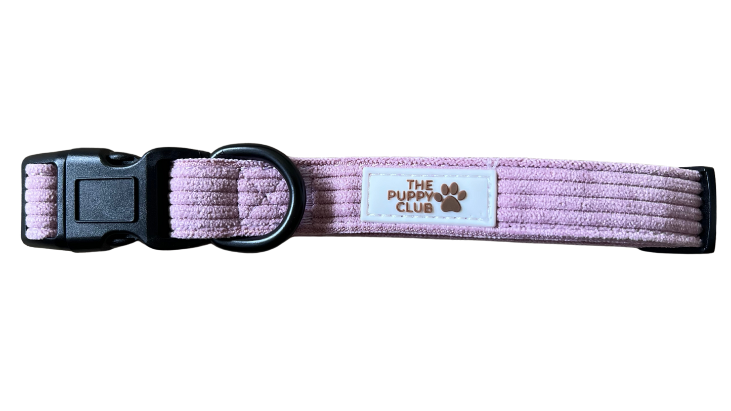 Adjustable Collar - Corduroy Pink