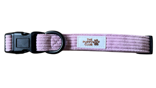 Adjustable Collar - Corduroy Pink