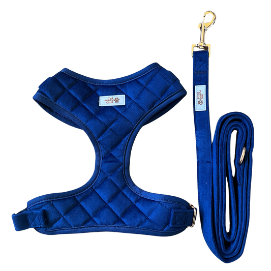 Luxury Harness and Leash Set - Velvet Blue