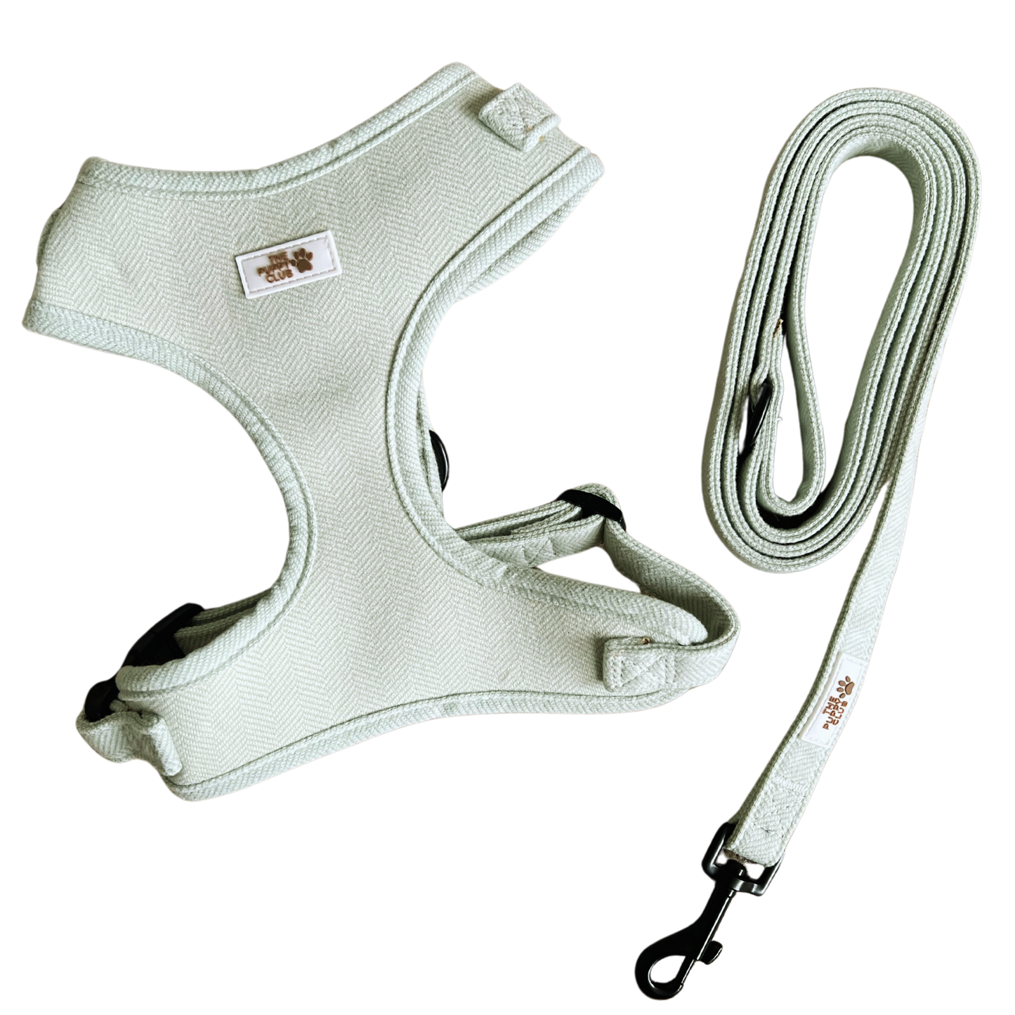 Harness and Leash Set - Tweed Green