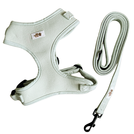 Harness and Leash Set - Tweed Green