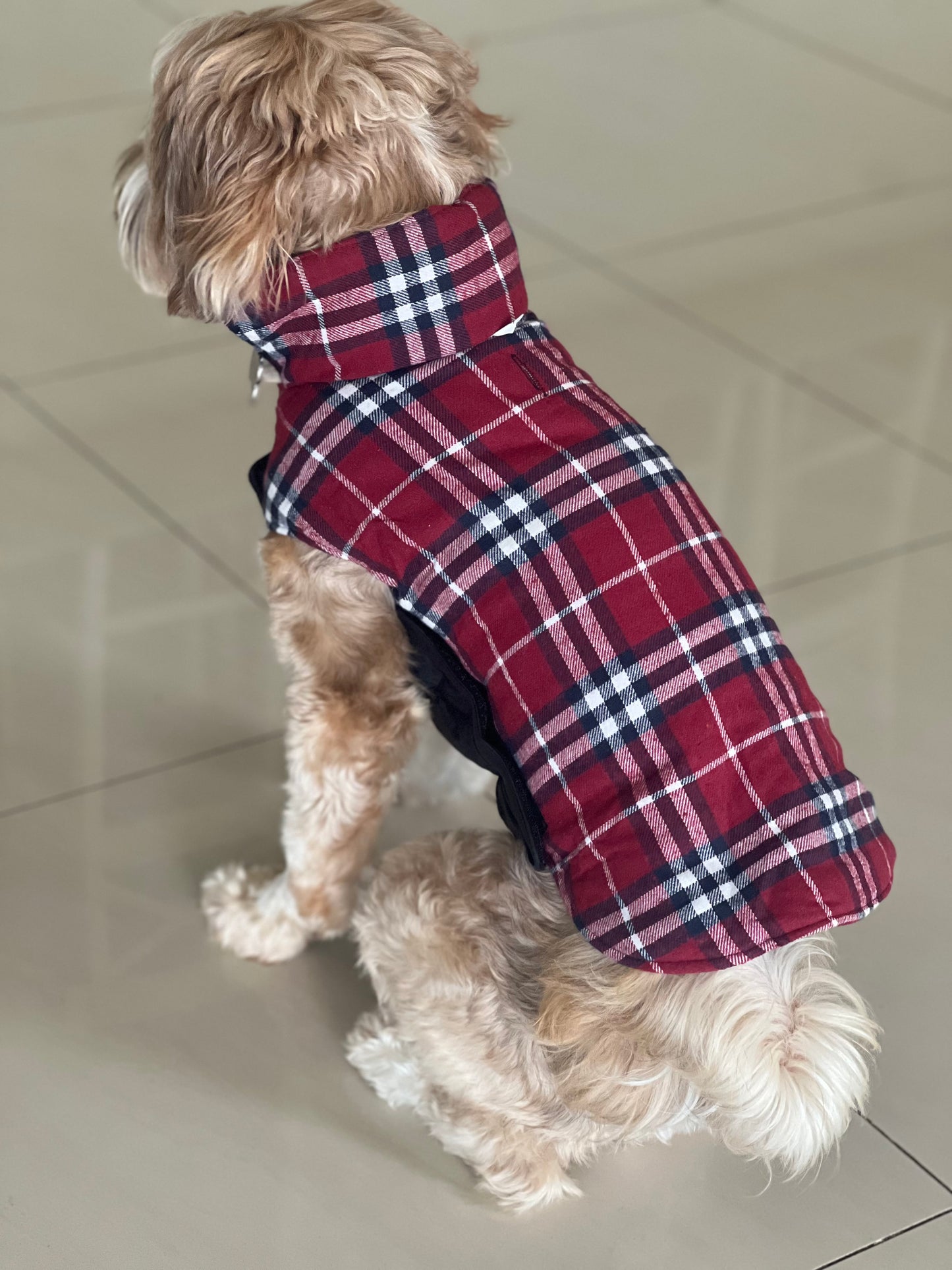 Reversible Dog Coat - Red/Black