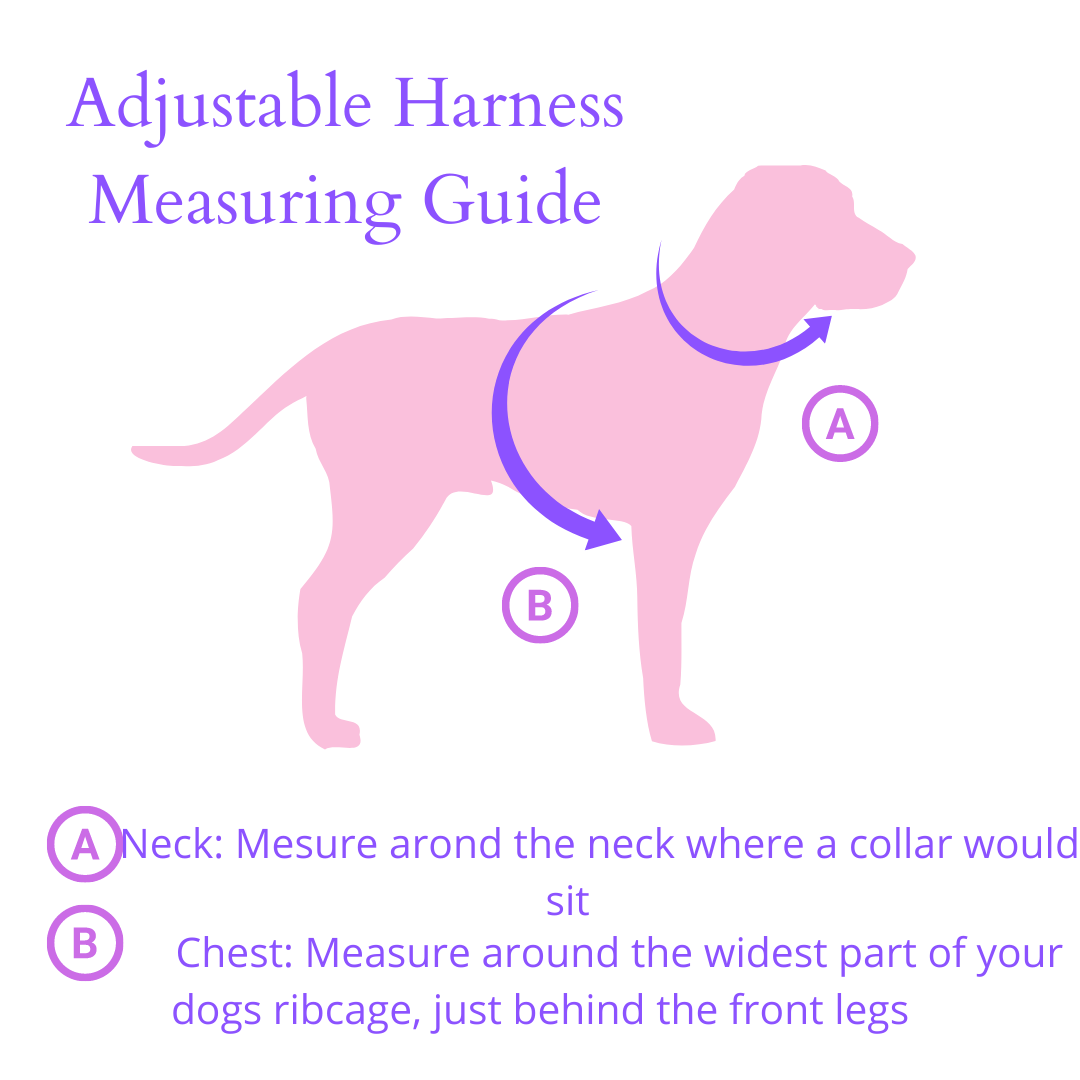 Harness and Leash Set - Tweed Beige