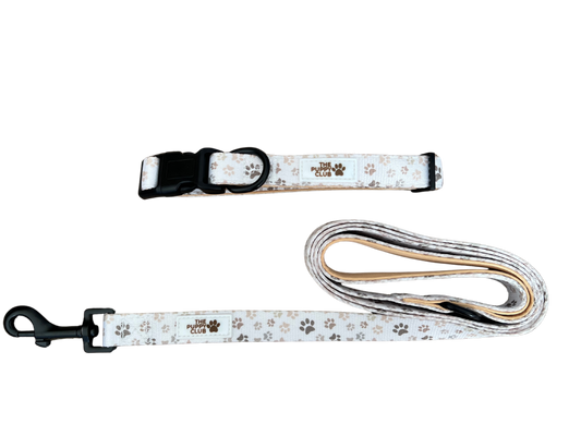 Collar and Leash Set - Paws