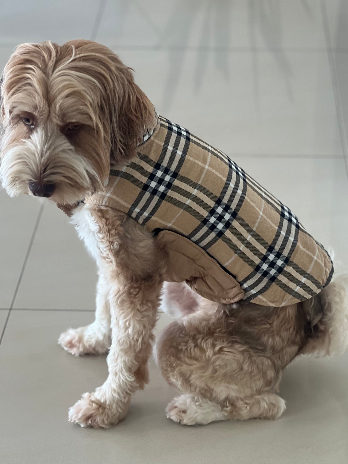Reversible Dog Coat - Beige