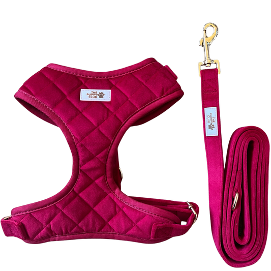 Luxury Harness and Leash Set - Velvet Red