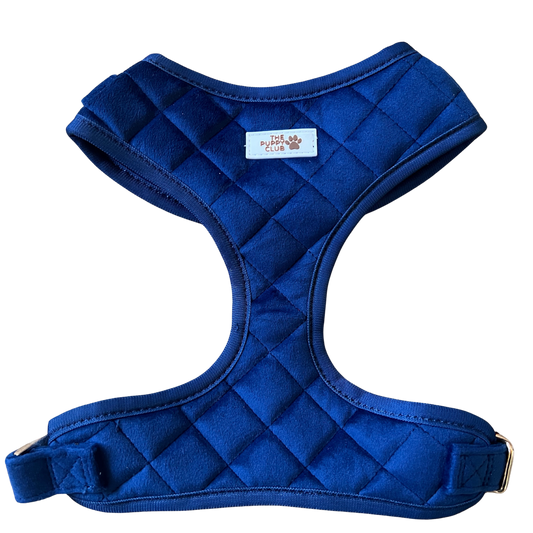 Luxury Adjustable Harness - Velvet Blue