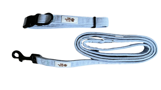 Collar and Leash Set - Corduroy Blue