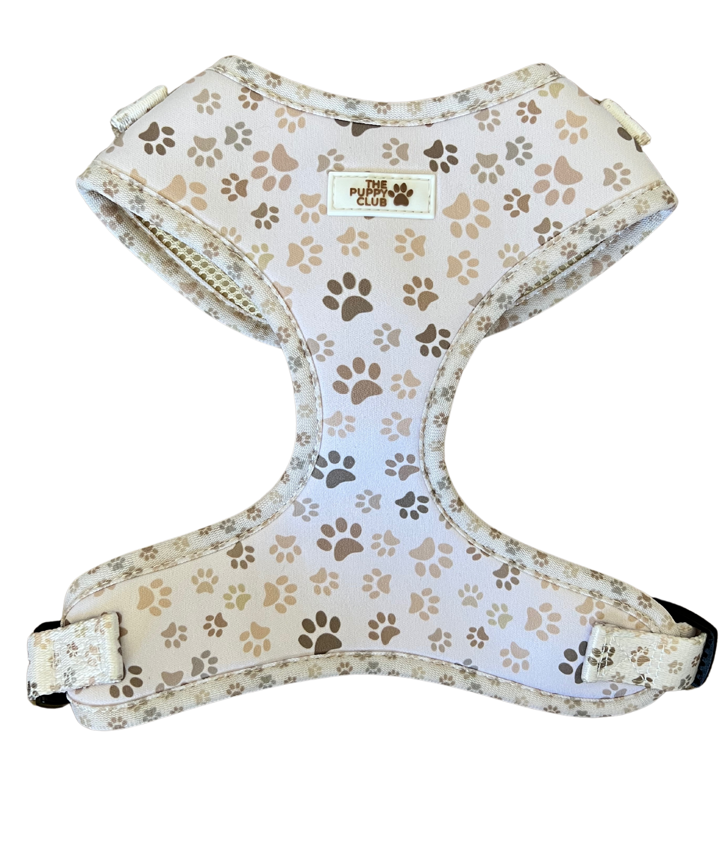 Harness and Leash Set - Paws